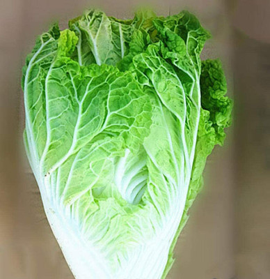 CYBEXIS Hybrid Chinese Cabbage/Fresh Food Sweet Seeds 800 Seeds Seed(800 per packet)
