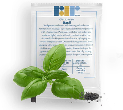 VibeX ® XXL-5 Sweet Basil Genovese Ocimum Basilicum Seed(1000 per packet)