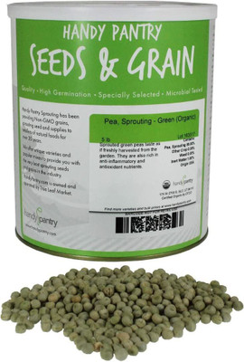 CYBEXIS HUA-31 - Dried Green Pea Sprouting - (100 Seeds) Seed(100 per packet)