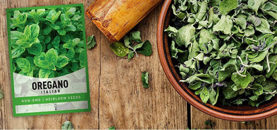 CYBEXIS ATS-50 - Italian Oregano HERB - (1350 Seeds) Seed(1350 per packet)