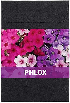 CYBEXIS Phlox Flower Seeds400 Seeds Seed(400 per packet)
