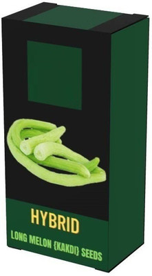 CYBEXIS XLL-86 - Cucumber Kakri - Long Melon - (450 Seeds) Seed(450 per packet)