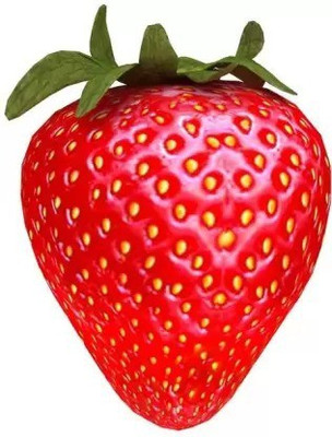 Aro Strawberry, Strawberries Seed(20 per packet)