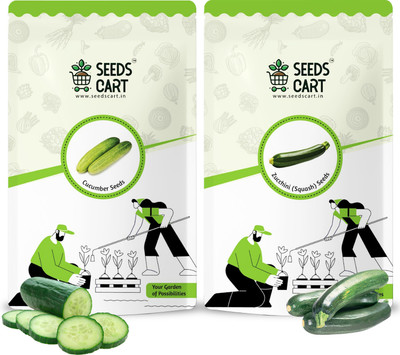 SeedsCart Zucchini (Turai), Cucumber (Kheera) Seed(115 per packet)