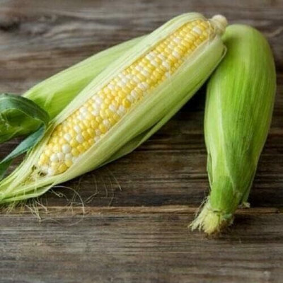 Qualtivate GBPT-1A Hybrid Sweet Corn Non-GMO Seed(400 per packet)
