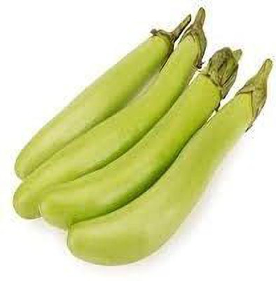 KANAYA Long Green Variety Big Brinjal F1 Hybrid Seed(70 per packet)