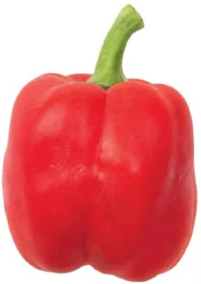 VASUDHA Capsicum Red Organic Seed(100 per packet)