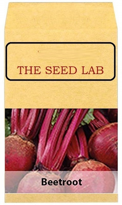 CYBEXIS Beetroot Hybrid Seeds2000 Seeds Seed(2000 per packet)