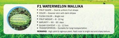 VibeX F1 WATERMELON MALLIKA(2500 Seeds) Seed(2500 per packet)