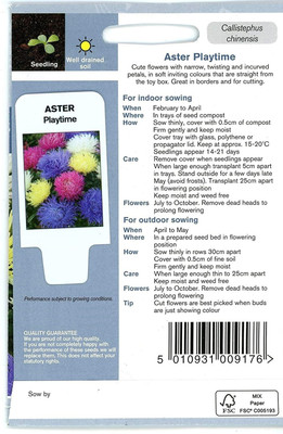 CYBEXIS Hybrid Aster Playtime seeds Seed(50 per packet)