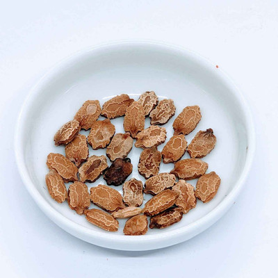 GREENSEA High Yielding Bitter Gourd, Uchchhe, Karela Seed(37 per packet)