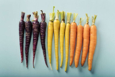SeedHaven Carrot fresh organic Seed(100 per packet)