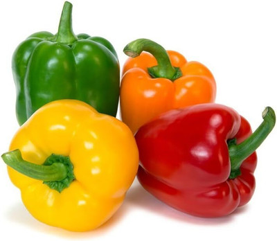 Qualtivate PUAS-3A Capsicum Rainbow Mix Seed(100 per packet)