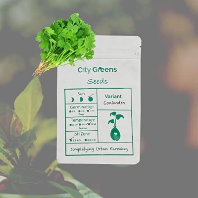 CityGreens City Greens Coriander (Dhaniya) Vegetable Seeds Gardening - Total 50 Gms Seed(50 g)