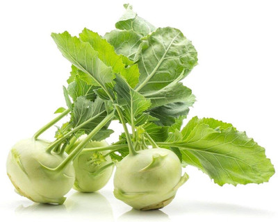 WILLVINE AMR -VII Sweet Vienna Kholrabi/Knolkhol F1 Hybrid [2.5g] Seed(750 per packet)
