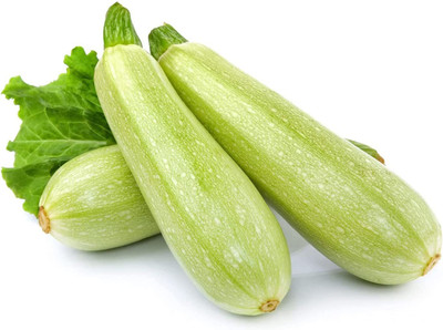 CYBEXIS HUA-99 - Zucchini Squash - (225 Seeds) Seed(225 per packet)