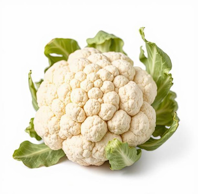 Mewar Impex white cauliflower,gobhee seeds Seed(35 per packet)