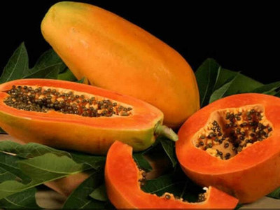 Farmonix Papaya Fruit Seeds Seed(200 per packet)