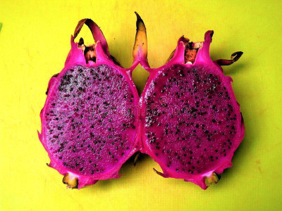 Oliver imported dragon fruit seeds Seed(70 per packet)