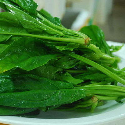 KNESSiN XI-19 Spinach Seed(200 per packet)