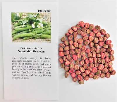 VibeX XL-12 - Pea Shelling Green Arrow - (100 Seeds) Seed(100 per packet)