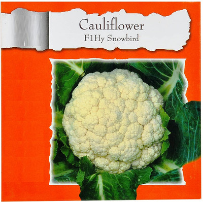 Qualtivate GBPT-8A Cauliflower F1 Hybrid Imported Seeds Seed(300 per packet)