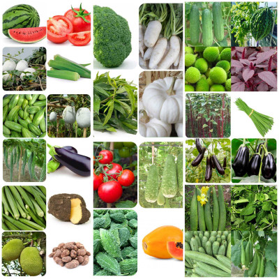 abiswas 40 Variety vegetable Combo Seed(3300 per packet)