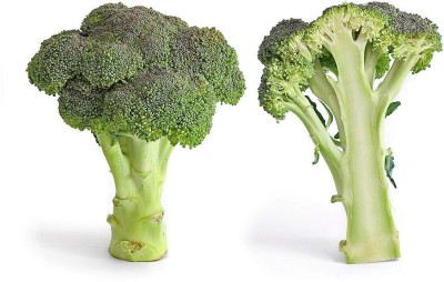 Qualtivate PUA-9A Broccoli Hybrid f1 Seed(300 per packet)