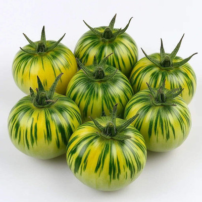Biosnyg High Germination Green Zebra Tomato Seeds For Hydrophonics - (4000 Seeds) Seed(4000 per packet)
