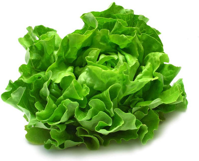 Aywal Long Lettuce Romaine Vegetable Seed(425 per packet)