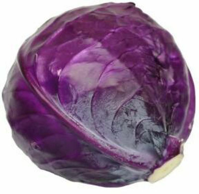 MYLAWN RED ACRE CABBAGE Brassica Seed(100 per packet)