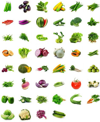 R-DRoz Combo of Vegetables Seeds (2300+ Seeds) Seed(2350 per packet)