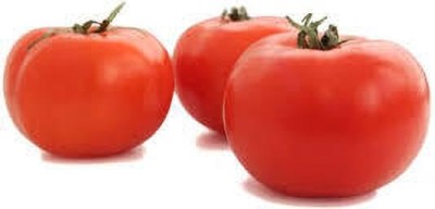 XOLDAA kashmiri hybrid tomato seeds Seed(75 per packet)