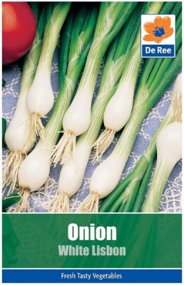 KNESSiN Onion White Lisbon Seed(1250 per packet)