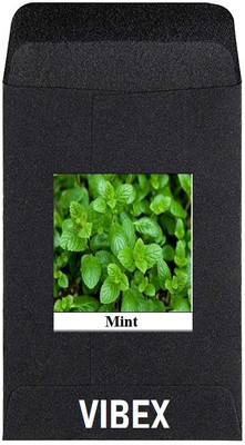 CYBEXIS Heirloom Vegetable Seeds-Mint700 Seeds Seed(700 per packet)