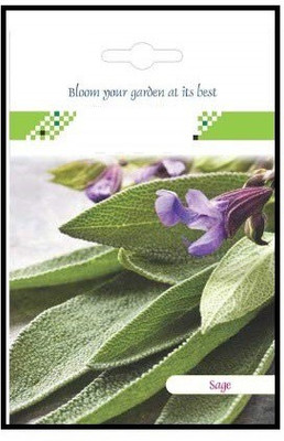 CYBEXIS Sage Hybrid Seeds2800 Seeds Seed(2800 per packet)