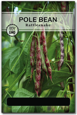 Biosnyg XCO-23 Rattlesnake Pole Bean Seed-[800 Seeds] Seed(800 per packet)