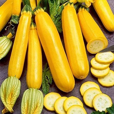 CYBEXIS Yellow Zucchini Seeds-50 Seeds Seed(50 per packet)