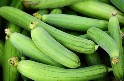 CYBEXIS KGF -71 - Hybrid Sponge Gourd - (100 Seeds) Seed(100 per packet)