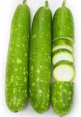 VibeX ® VMR-55 Bottle Gourd Dudhi Sorakaya Lauki Seeds Calabash Seed(50 per packet)