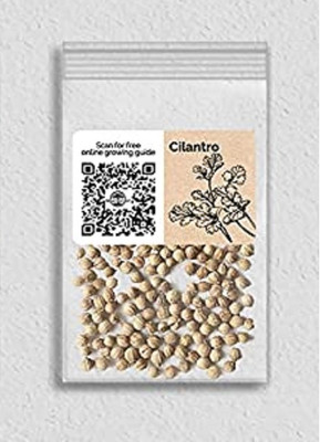 Biosnyg ROX-72 Cilantro-[800 Seeds] Seed(800 per packet)