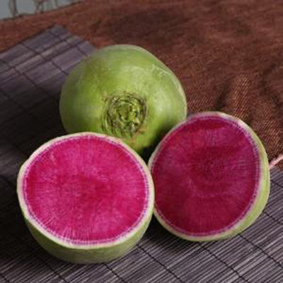CYBEXIS Radish Seeds Edible Non-GMO Vegetable600 Seeds Seed(600 per packet)