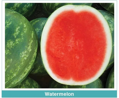 Farmonix Sweet and juicy watermelon fruit Seed(50 per packet)