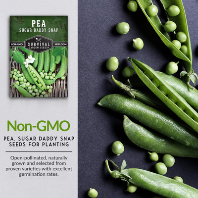 Qualtivate HYB-2A Sugar Daddy Snap Pea Seeds Seed(200 per packet)
