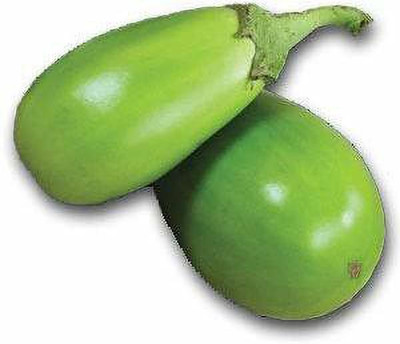VibeX ® XLR-256 BRINJAL GREEN SEEDS F1 HYBRID Seed(200 per packet)