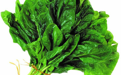MYLAWN Palak Spinach पालक के बीज Seed(800 per packet)