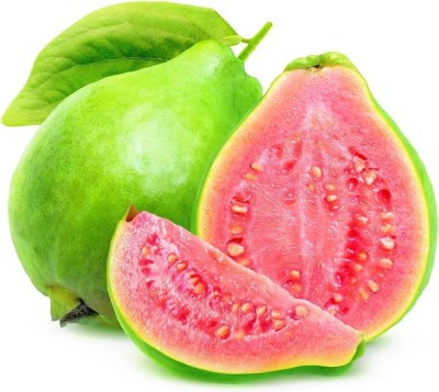 SUAA Guava Fruit Plant Seed(80 per packet)