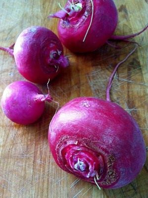 KANAYA Turnip Red Ball/ Shalgam Hybrid Seed(75 per packet)