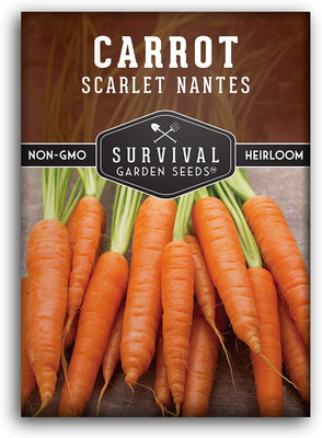 CYBEXIS XLL-86 - Scarlet Nantes Carrot - (2250 Seeds) Seed(2250 per packet)