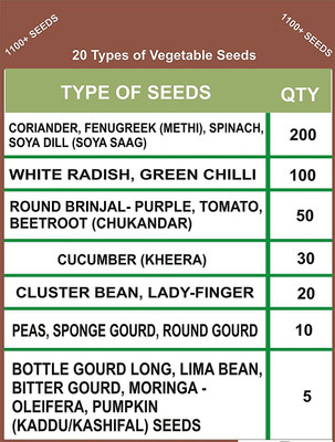 CYBEXIS 20 Varities Of Vegetable Seeds Combo 1100+ Seed(10 g)
